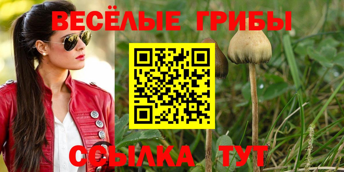 Реутов  Псилоцибиновые грибы прущие грибы  Вход с VPN 