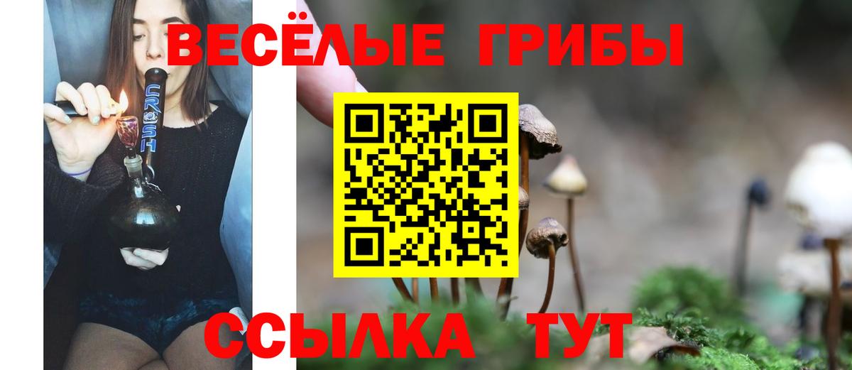 Псилоцибиновые грибы ЛСД Реутов